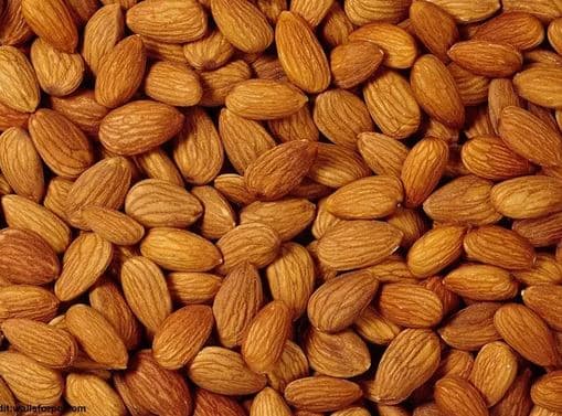 Grade A Almond Nuts _ Raw Natural Almond Nuts